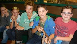 Schüler des Werkschulheims besuchen den Reptilienzoo im Haus der Natur