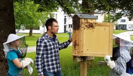 Bienenschaukasten im Werkschulheim Felbertal