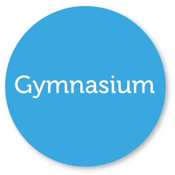 Gymnasium